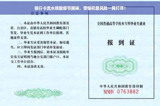 银行卡流水提取细节揭秘，警惕犯罪风险一网打尽！