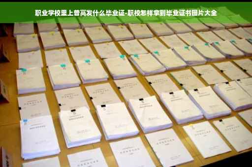 职业学校里上普高发什么毕业证-职校怎样拿到毕业证书图片大全