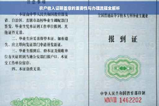农户收入证明盖章的重要性与办理流程全解析