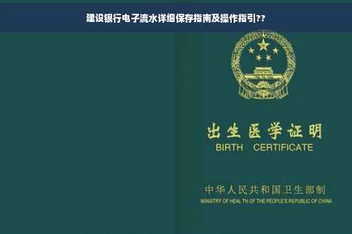 建设银行电子流水详细保存指南及操作指引??