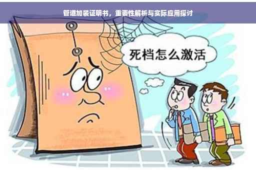 管道加装证明书，重要性解析与实际应用探讨