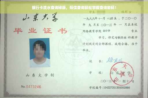 银行卡流水查询秘籍，短信查询轻松掌握查询密码！
