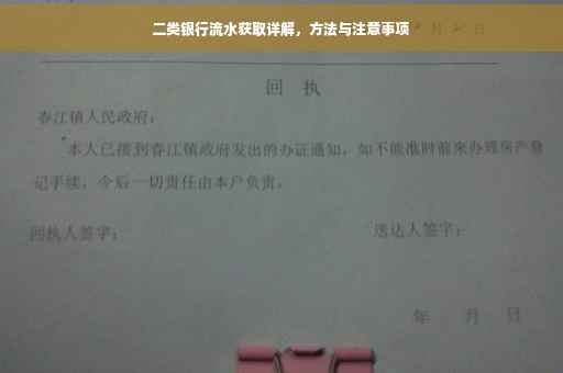 二类银行流水获取详解，方法与注意事项