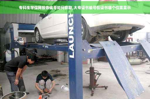 专科生学信网报告编号如何获取,大专证书编号在证书哪个位置显示