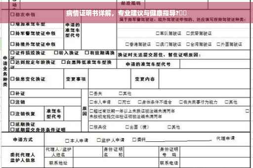 病情证明书详解，专业建议与健康指导?⚡️