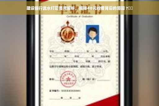 建设银行流水打印费用解析，揭秘40元收费背后的原因 ?⚡️