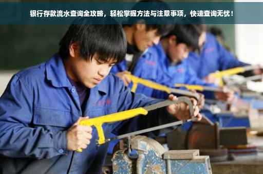 银行存款流水查询全攻略，轻松掌握方法与注意事项，快速查询无忧！