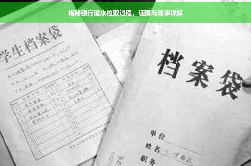 揭秘银行流水拉取过程，速度与效率详解