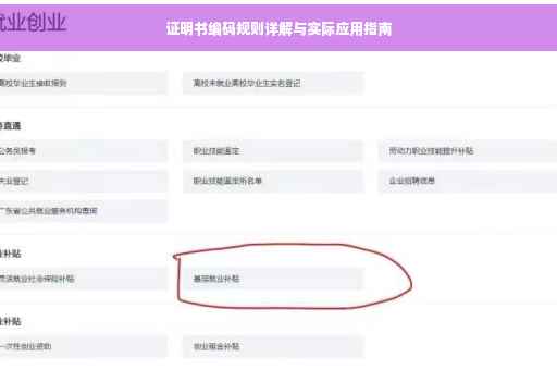 证明书编码规则详解与实际应用指南