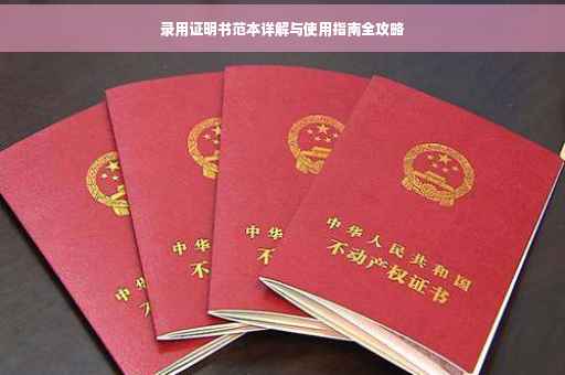 录用证明书范本详解与使用指南全攻略