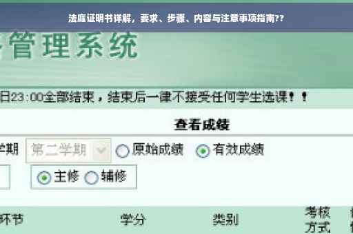 法庭证明书详解，要求、步骤、内容与注意事项指南??