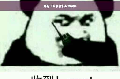 商标证明书材料全面解析