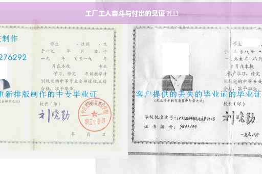工厂工人奋斗与付出的见证 ?⚡️