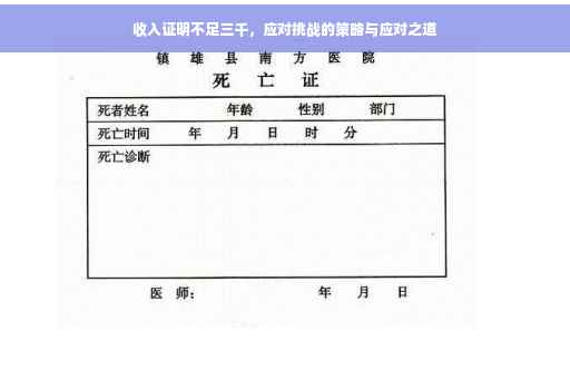 收入证明不足三千，应对挑战的策略与应对之道