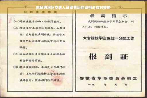 揭秘购房补交收入证明背后的真相与应对策略