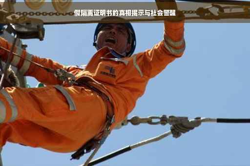 假隔离证明书的真相揭示与社会警醒