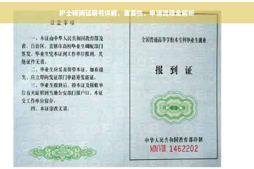 护士转岗证明书详解，重要性、申请流程全解析