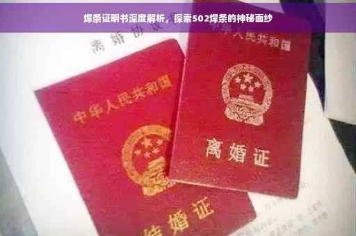 焊条证明书深度解析，探索502焊条的神秘面纱