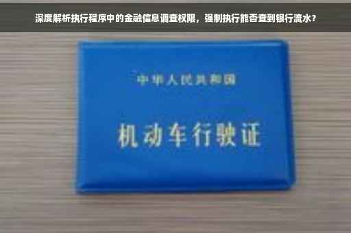 深度解析执行程序中的金融信息调查权限，强制执行能否查到银行流水？