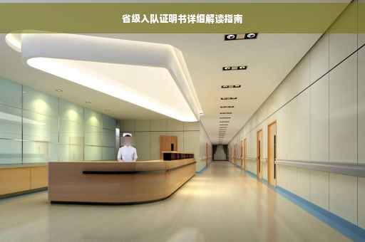 省级入队证明书详细解读指南