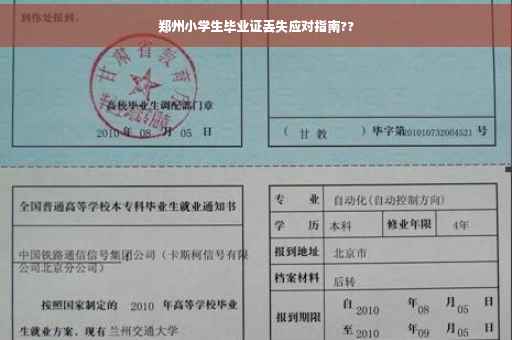郑州小学生毕业证丢失应对指南??