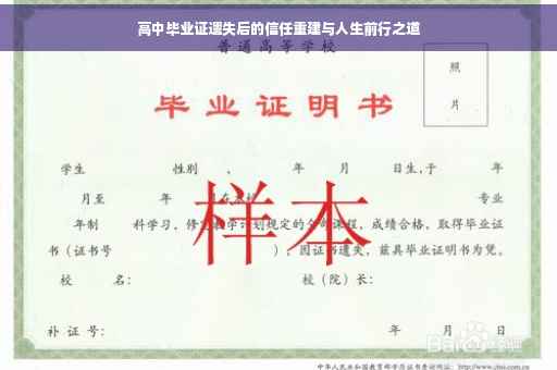 高中毕业证遗失后的信任重建与人生前行之道