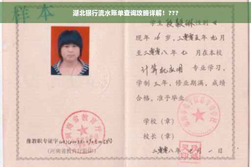 湖北银行流水账单查询攻略详解！???