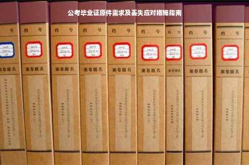 公考毕业证原件需求及丢失应对措施指南