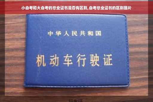 小自考和大自考的毕业证书是否有区别,自考毕业证书的区别图片