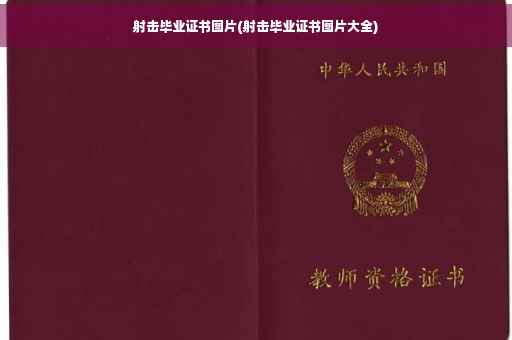 射击毕业证书图片(射击毕业证书图片大全)