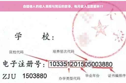 自媒体人的收入真相与背后的故事，每月收入深度解析??