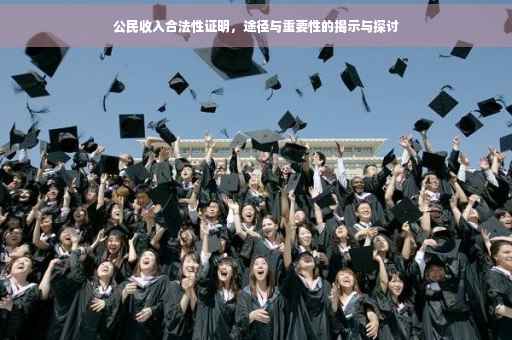 公民收入合法性证明，途径与重要性的揭示与探讨