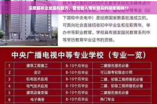 深度解析企业盈利能力，营业收入增长背后的秘密揭晓??