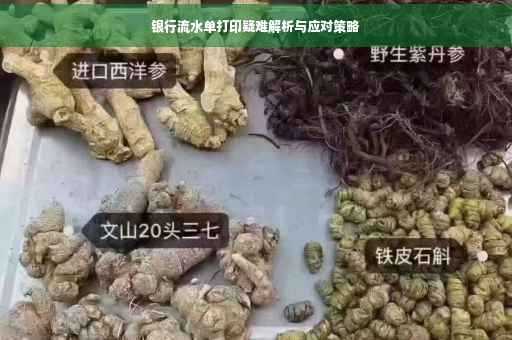 银行流水单打印疑难解析与应对策略