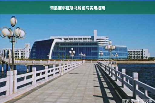 青岛商事证明书解读与实用指南