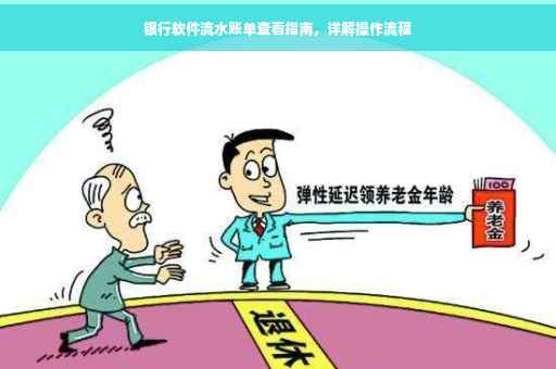 银行软件流水账单查看指南，详解操作流程