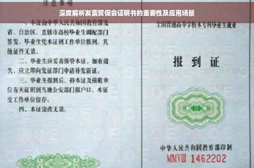 深度解析发票贸促会证明书的重要性及应用场景