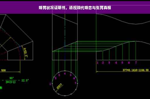 婚育状况证明书，透视现代婚恋与生育真相