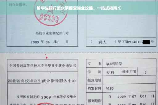 留学生银行流水明细查询全攻略，一站式指南?✨