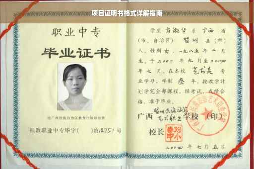 项目证明书格式详解指南