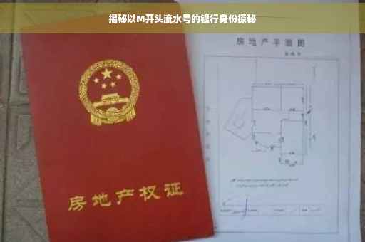 揭秘以M开头流水号的银行身份探秘