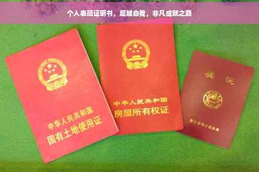 个人表现证明书，超越自我，非凡成就之路