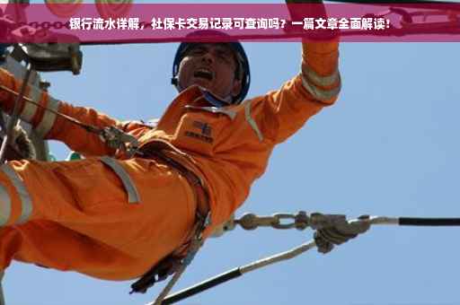 银行流水详解，社保卡交易记录可查询吗？一篇文章全面解读！