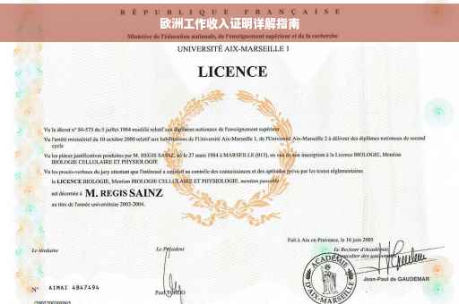 欧洲工作收入证明详解指南