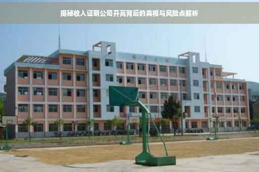 揭秘收入证明公司开高背后的真相与风险点解析