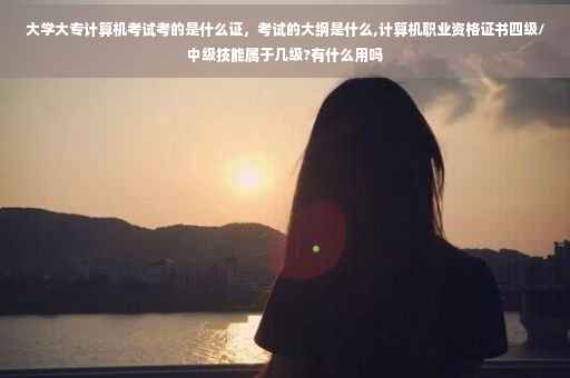 大学大专计算机考试考的是什么证，考试的大纲是什么,计算机职业资格证书四级/中级技能属于几级?有什么用吗