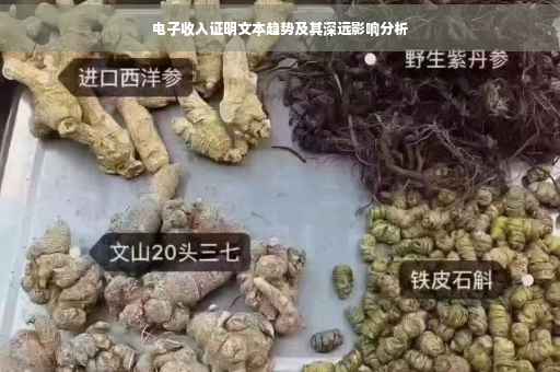 电子收入证明文本趋势及其深远影响分析