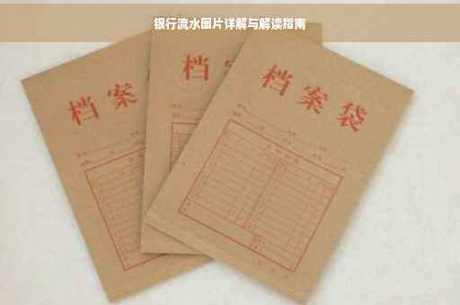 银行流水图片详解与解读指南