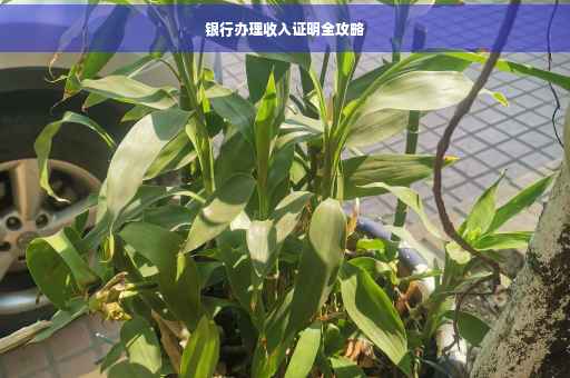 银行办理收入证明全攻略