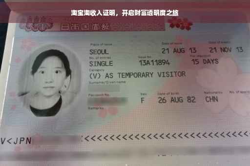 淘宝淘收入证明，开启财富透明度之旅